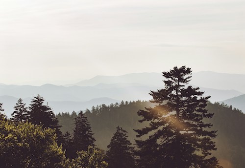 Camping in the Smoky Mountains: Tips for a Memorable Experience — Grand Welcome Great Smoky Mountains