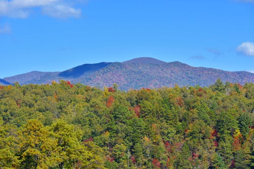 Cultural Experiences and Heritage in the Smoky Mountains — Grand Welcome Great Smoky Mountains